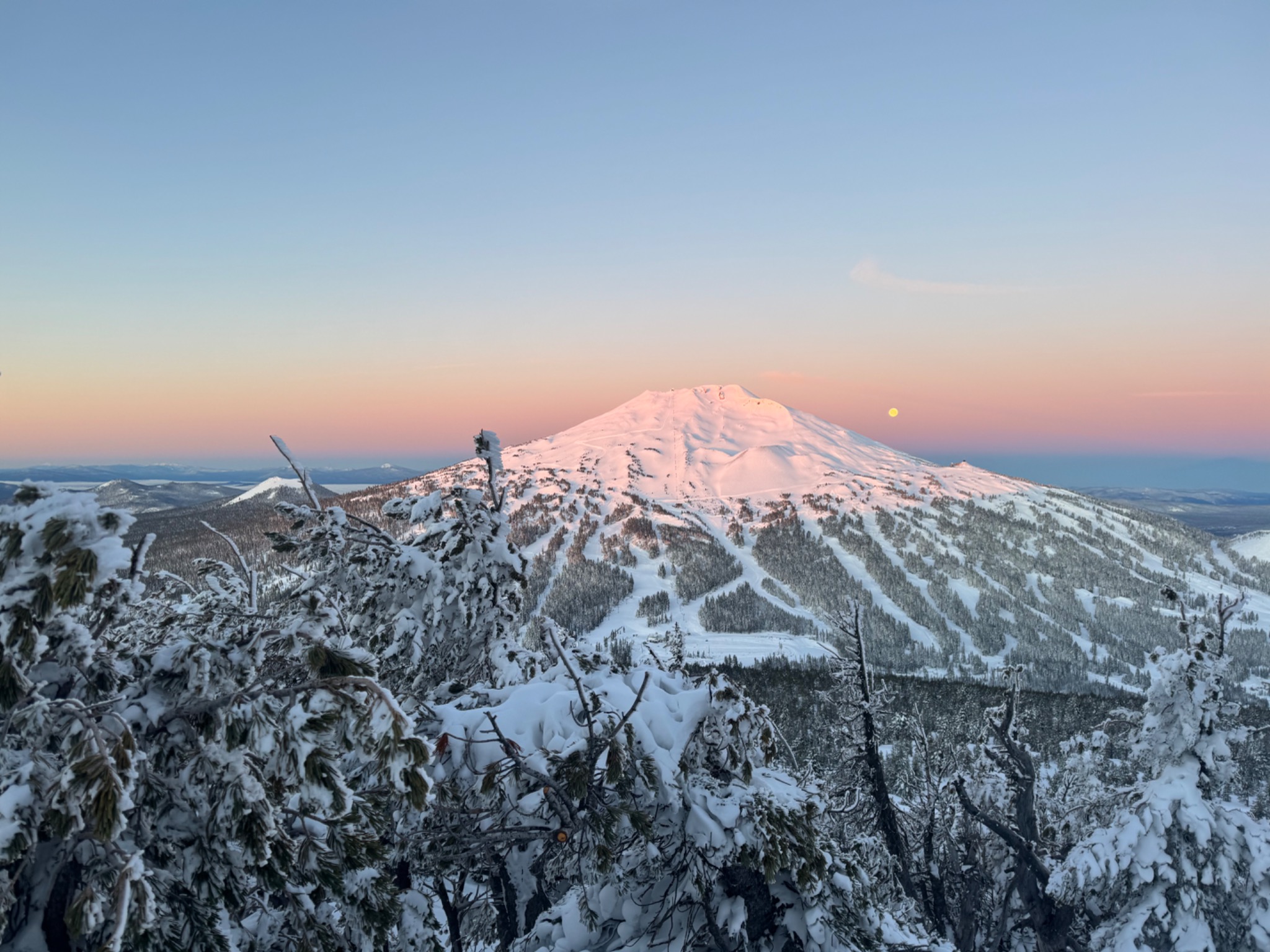 Snow-covered mountain and forest under a pink evening sky, photographed by Matt Silver